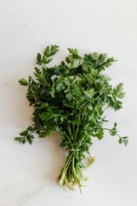 Fresh Parsley Herb Photography for Recipe, Cooking and Food Styling