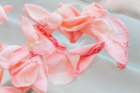 Kaboompics - Loose Pink Rose Petals Floating in Water, Minimal Background