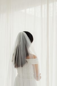 Kaboompics - Back View of a Sheer Wedding Veil Over Long Dark Hair