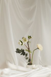 Kaboompics - Minimal White Vase and Flower Stems on Draped Fabric with Copy Space