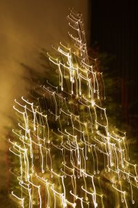 Kaboompics - Long Exposure Christmas Tree with Warm White Light Trails