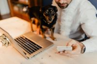 Kaboompics - Designer Working at a Laptop with a Small Dog at the Desk