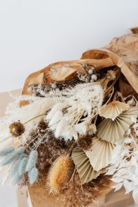Kaboompics - Dried Pampas Grass and Textured Botanical Stems in Kraft Paper with White Copy Space