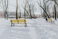 Kaboompics - Pair of Yellow Benches Along a Snowy Winter Park Walk