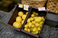 Kaboompics - Lemon Crates and Wicker Basket at a Sorrento Market