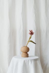 Kaboompics - Dried Flowers In Sculptural Vase On White Draped Table