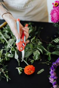 Kaboompics - A beautiful woman florist makes a bouquet