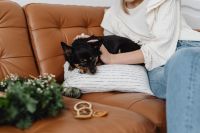 Kaboompics - Woman Sitting with Small Dog on Brown Sofa at Christmas