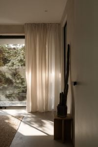 Kaboompics - Tall Potted Cactus beside Sheer Curtains, Minimal Neutral Room Background