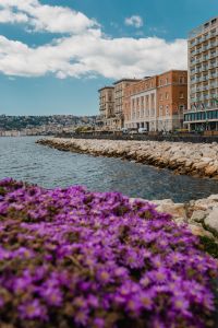 Kaboompics - Purple Flowers Along the Naples Waterfront With City Buildings