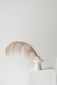 Kaboompics - Pantone 2026 White Aesthetic: Dried Grass in a Sculptural Vase