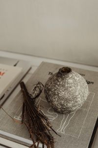 Kaboompics - Top-Down Still Life of a Speckled Ceramic Vase and Dried Branches on Books