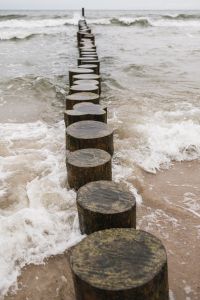 Kaboompics - Wooden Beach Groyne Extending into the Waves
