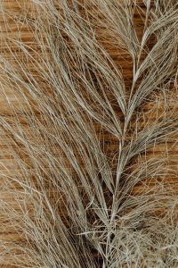 Kaboompics - Dense Dried Grass Over Wood Grain for Warm Organic Backgrounds