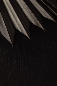 Kaboompics - Pointed Dried Palm Leaf Tips Against a Charcoal Background, Minimal Botanical Texture