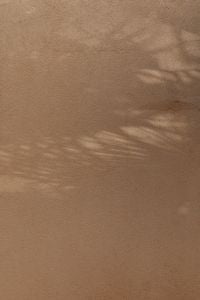 Kaboompics - Soft Palm Frond Shadows on Warm Beige Stucco Wall with Open Copy Space
