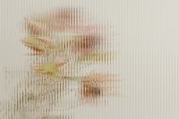 Kaboompics - Soft Green and Rose Flower Forms Behind Ribbed Glass, Minimal Abstract Floral Background