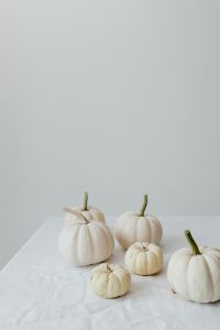 Kaboompics - White pumpkins