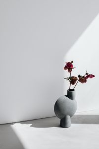 Kaboompics - Gray Flower Vase with Hellebores in a Sunlit Corner