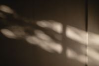 Kaboompics - Soft Beige Abstract Shadow Background