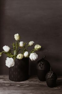 Kaboompics - White Flowers and Black Halloween Decor Still Life