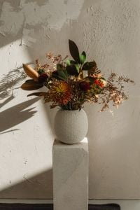 Kaboompics - Colorful Flowers and Green Leaves with Strong Window Shadows