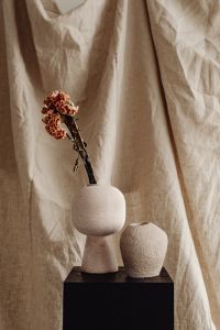 Kaboompics - Minimal Dried Flower Sprig Against Draped Linen Fabric