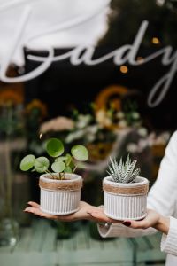 Kaboompics - Woman holds pilea & sukulent