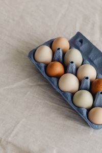 Kaboompics - Close-Up Pastel Eggs In Blue Cardboard Carton