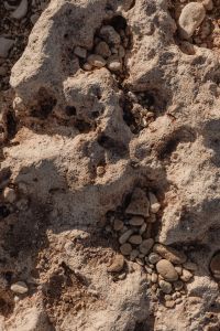 Kaboompics - Eroded Rock Pockets Holding Small Rounded Pebbles