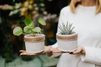 Kaboompics - Woman holds pilea & sukulent