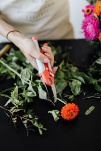 Kaboompics - Close-Up of Pruning Shears Cutting Greenery
