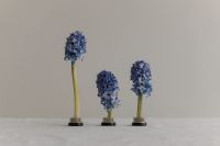 Kaboompics - Blue Hyacinth Trio in Kenzan with a Minimal Composition
