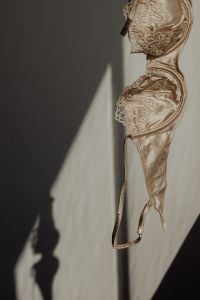 Kaboompics - Satin Lace Bra with Underwire Detail