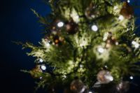 Kaboompics - Glowing Out-of-Focus Christmas Tree Details