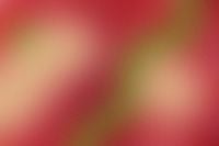 Kaboompics - Abstract Blurred Red and Olive Color Background