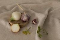 Kaboompics - White Onions, Garlic and Fresh Herbs on Linen