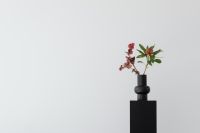 Kaboompics - Minimalist Vase on a Black Pedestal with Copy Space
