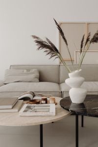 Kaboompics - Sculptural White Vase with Pampas Grass on Black Marble Coffee Table