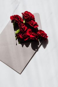 Kaboompics - Sunlit Red Carnations in an Open Envelope with Dramatic Shadows