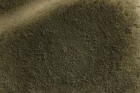 Kaboompics - Olive Green Mold Texture in a Petri Dish