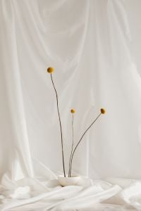 Minimal Floral Backgrounds on White Fabric with Copy Space