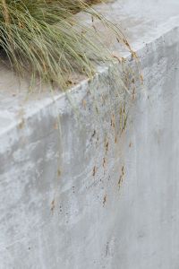Kaboompics - Frosted Garden Grass with Snowy Autumn-Winter Texture