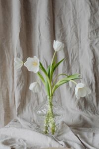 Kaboompics - Spring White Tulip Arrangement in a Glass Vase Against a Gathered Linen Backdrop