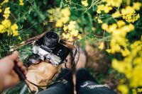 Kaboompics - Woman with vintage camera in the field of blooming rapes