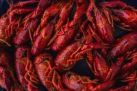 Kaboompics - Crayfish on a blue plate