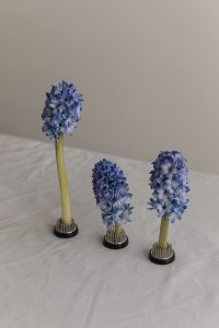 Kaboompics - Blue Hyacinth Trio with Varied Stem Heights on Linen