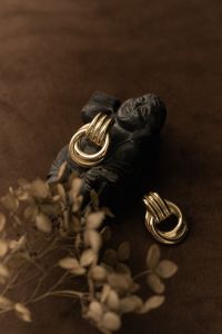 Kaboompics - Gold Earrings With Dried Flowers on Brown Background