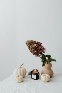 Kaboompics - Dried Hydrangea White Pumpkins and Candle Autumn Decor