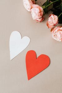 Pink Roses and Paper Heart Arrangements for Romantic Backgrounds